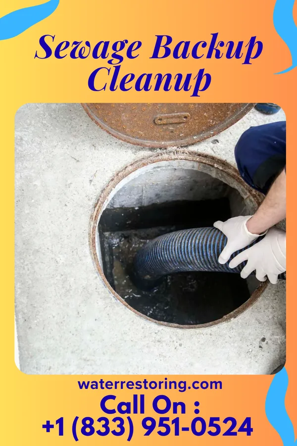 Sewage Backup Cleanup in Monticello, MS